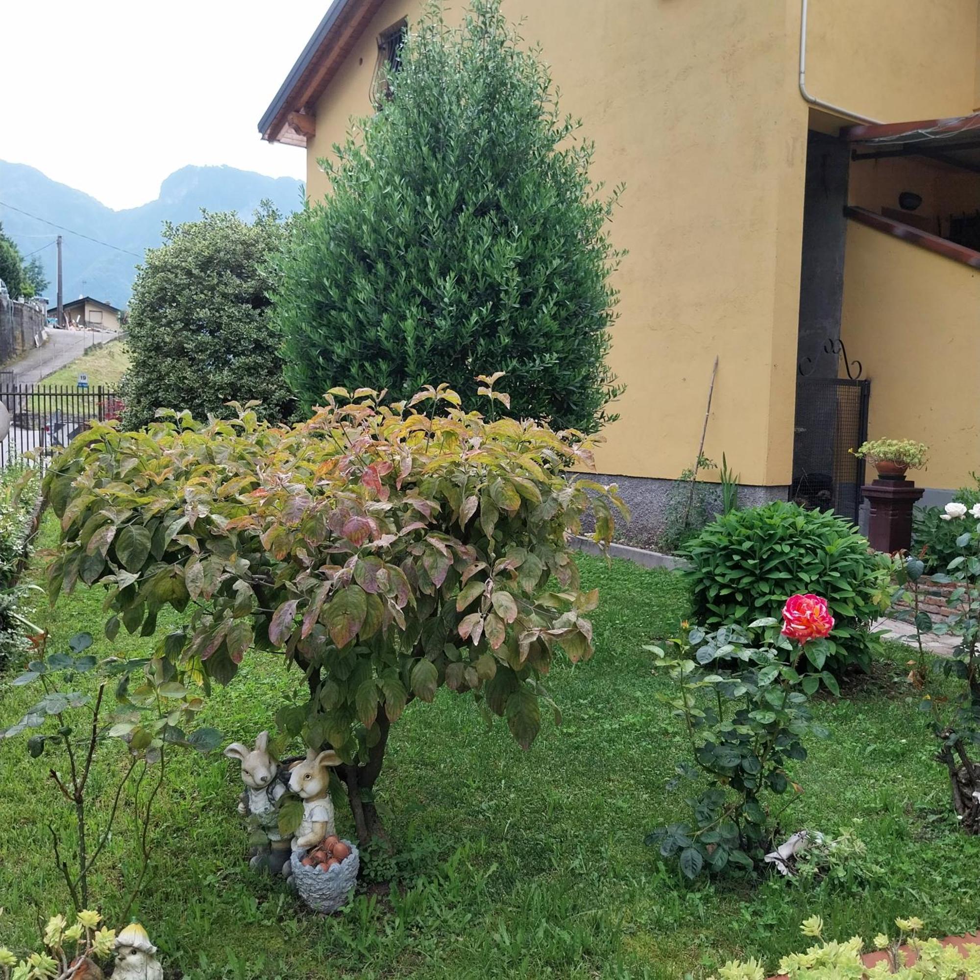 Casa Peppo Appartement